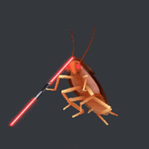 Roach Dancing GIF - Roach Dancing Cockroach - Discover & Share GIFs Dancing Cockroach, Its Friday, Animated Gif, Feel Like, Dancing, Gif