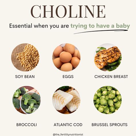 ESSENTIAL FOR FERTILITY The often FORGOTTEN ESSENTIAL nutrient! Choline is one of my favorite ways to support egg quality and fertility: ** Make sure you save this post and follow for more!** Choline can…. 👉Enhance Egg Quality: Choline plays a critical role in egg membrane integrity and development, contributing to healthier and more resilient eggs. 👉Boost Sperm Health: Adequate choline intake has been associated with improved sperm motility and morphology, essential for fertilization.... Fertility Nutrition, Sperm Health, Boost Fertility, Egg Quality, Fertility Foods, Postpartum Health, Best Vitamin C, Healthy Eggs, Improve Fertility