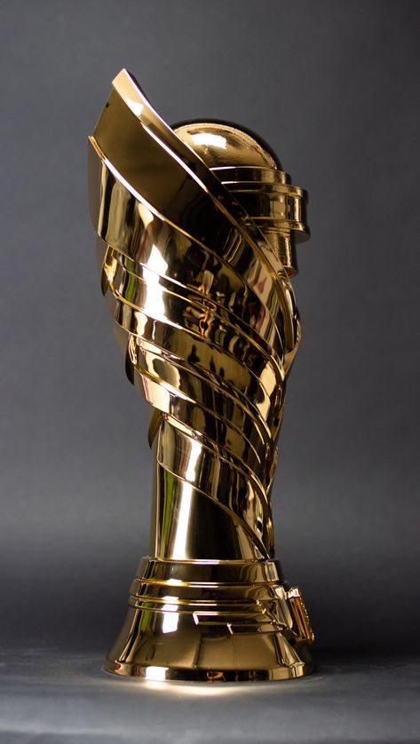 Football Cups Design, Diy Trophy, Vine Decal, Soccer Awards, Soccer Trophy, Sports Trophies, Football Trophies, Football Cups, Billionaire Lifestyle Luxury Living