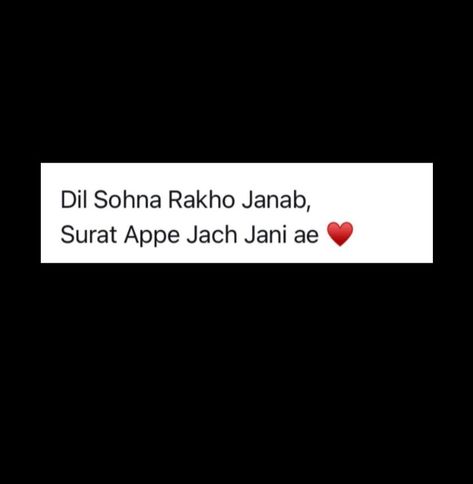 Punjabi Aesthetic Quotes, Bio For Instagram In Punjabi, Punjabi Bio For Instagram, Punjabi Captions Instagram, Quotes In Punjabi, Punjabi Captions, Me Time Quotes, Funny Words To Say, Instagram Bio Quotes