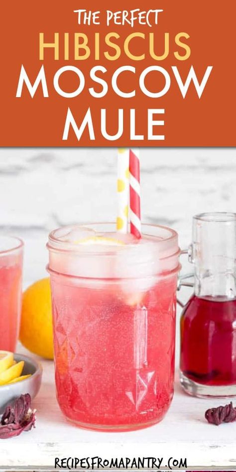 Treat yourself to this easy Hibiscus Moscow Mule recipe made with ONLY 5 ingredients!!! #moscowmule #vodka #cocktail #hibiscus #vodkacocktail #africancocktail Hibiscus Cocktail, Hibiscus Drink, Batch Cocktail Recipe, Easy Alcoholic Drinks, Moscow Mule Recipe, Mule Recipe, West African Food, Vodka Cocktails Recipes, Banana Milkshake