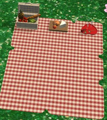 Red gingham rug/picnic blanket Gingham Rug, Picnic Blanket Pattern, Wedding Makeover, Picnic Set, Picnic Rug, Blanket Patterns, Red Gingham, Sims 2, Family Christmas