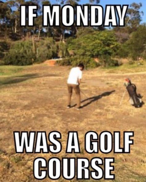 🚫🐿️🚫 #badthoughtsgolf #btgolf #memeshirts #golfmemes #golflife #golfshirts #golfswag Golf Memes Humor, Babe Memes, Golf Humor Jokes, Happy Birthday Golf, Golf Tattoo, Golf Quotes Funny, Golf Etiquette, Golf Pictures, Golf Photography