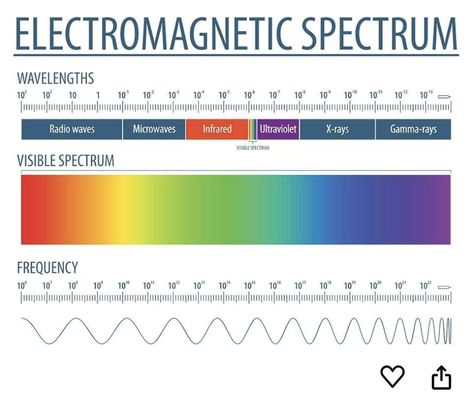 Visible Spectrum, Electromagnetic Spectrum, Reference Chart, Radio Wave, Visible Light, X Ray, Ultra Violet, Science, Education