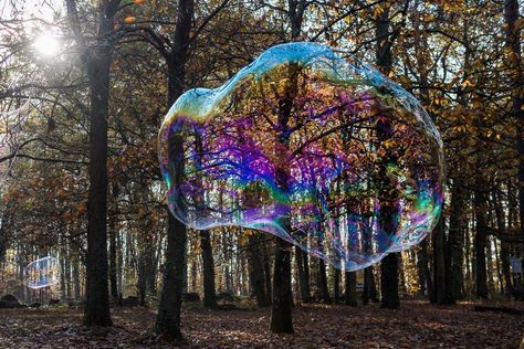 Physicists have found that adding guar gum and glycerol to a detergent solution helped to create large, long-lasting soap bubbles Bubble Mixture, Mixture Recipe, Blow Bubbles, University Of Paris, 22 September, Physicists, Soap Bubbles, Science News, September 2022