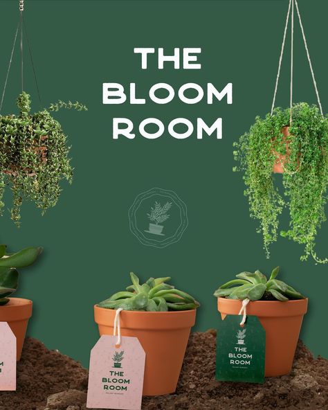 Moodboard Monday - from moodboard to final design - THE BLOOM ROOM - plant nursery 🪴 Monday review of last year’s passion project and the brief by @theglowandgrowclub ✨ Also, these lovely ladies chose this project for an honorable mention on their site, for which I am so grateful 🥹🥰 Have a wonderful Monday and a great week ahead💖 #branddesigner #logodesigner #graphicdesign #graphicdesigner #graphicdesigners #branddesigners #logodesigners #freelancedesigner #illustrator #smallbizowner #bran... Plant Nursery Branding, Nursery Branding, Plant Business, Wonderful Monday, I Am So Grateful, Passion Project, Great Week, Plant Nursery, So Grateful