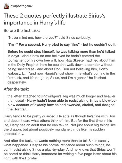 Harry Potter Sirius Black, Granger Hermione, Hermione Draco, Harry Potter Sirius, Hp Facts, Maxon Schreave, Yer A Wizard Harry, Slytherin Harry Potter, Harry Potter Headcannons