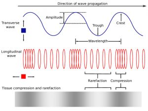 Transverse Wave, Mechanical Wave, Longitudinal Wave, Centripetal Force, Types Of Waves, Science Notes, What Is Meant, Engineering Technology, Natural Bath