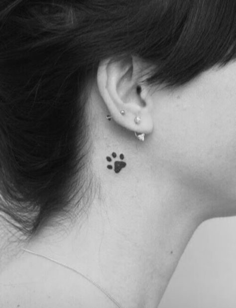 Behind Ear Tattoo Paw Print, Paw Print Ear Tattoo, Paw Tattoo Behind Ear, Paw Print Tattoo Behind Ear, Cat Paw Tattoo, Cat Paw Print Tattoo, Inner Ear Tattoo, Cat Paw Tattoos, Behind Ear Tattoos