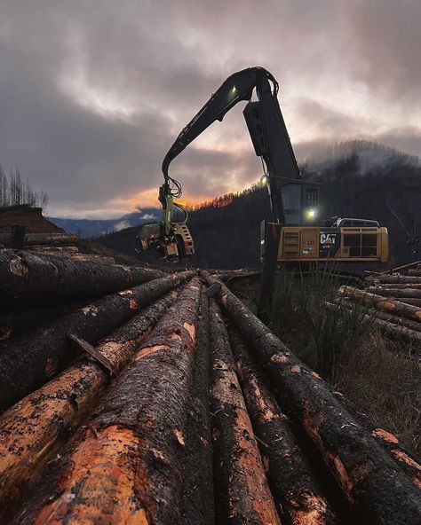 Timber & Grit on Instagram: “⁣By far the most common question I get asked is; “How do I get started in the logging industry?” ⠀ ⠀ Generally my advice is the same. You…” Old Logging Pictures, Logging Aesthetic, Timber Aesthetic, Rafe Aesthetic, Green Pallet, Logging Camp, Oregon Style, Forest Vibes, Logging Industry