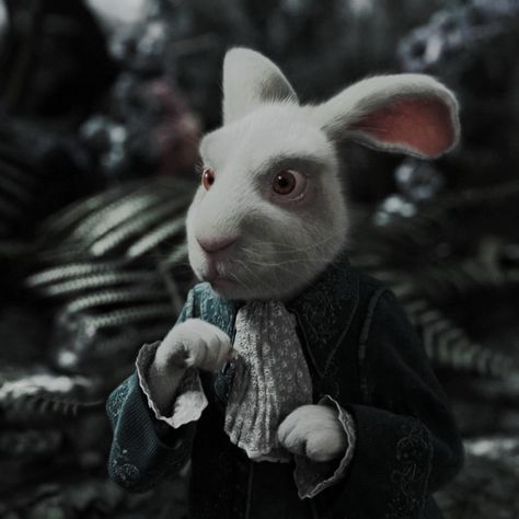 Rabbit Alice In Wonderland, White Rabbit Alice In Wonderland, Alice In Wonderland Aesthetic, Alice In Wonderland Characters, Tim Burton Style, Tim Burton Films, Disney Live Action, Cat Icon, Disney Alice