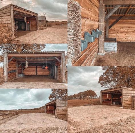 Horse Farm Ideas Stables, Horse Paddock Layout, Track System Horse, Horse Barn Ideas, Farm Goals, Horse Stables Design, Paddock Trail, Equestrian Stables, Livestock Shelter