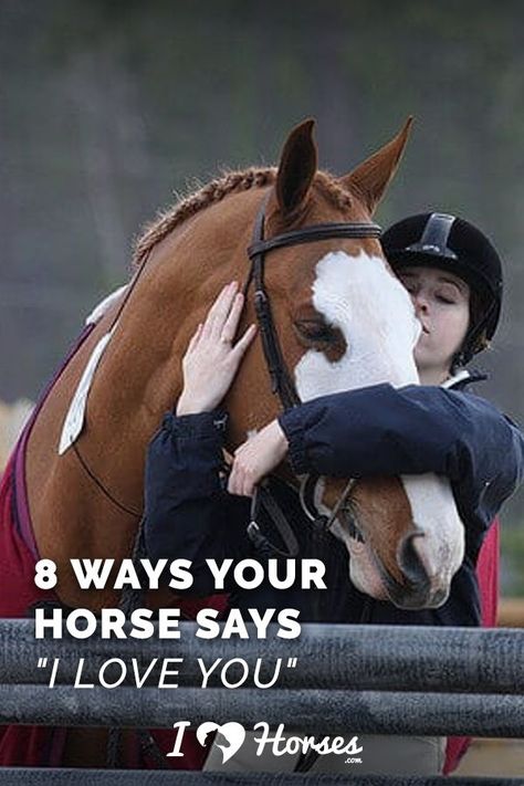 Horse Bond Quotes, Tackroom Ideas Equestrian, Horse Show Outfits, Cute Horse Quotes, Horse Lifestyle, Equine Quotes, Owning A Horse, Horse Behavior, Horsey Life