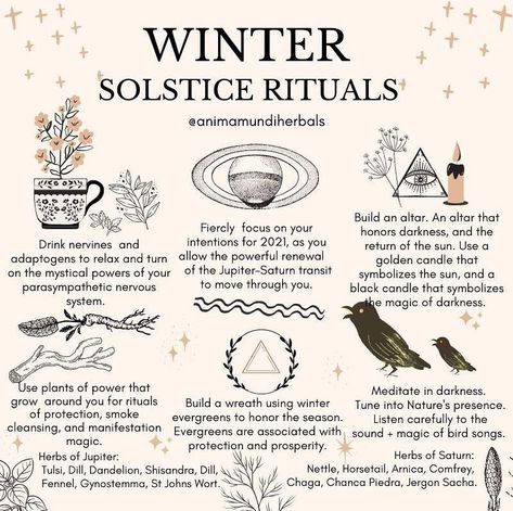 A N I M A M U N D I Apothecary on Instagram: “This solstice weekend is quite an astronomical spectacle! The age of Aquarius is here ✨Jupiter enter aquarius, to join Saturn 🪐 TODAY…” Solstice Traditions, Winter Solstice Rituals, Winter Solstice Party, Winter Solstice Traditions, Winter Solstice Celebration, Solstice Party, Solstice Celebration, Witch Rituals, Witch Tarot