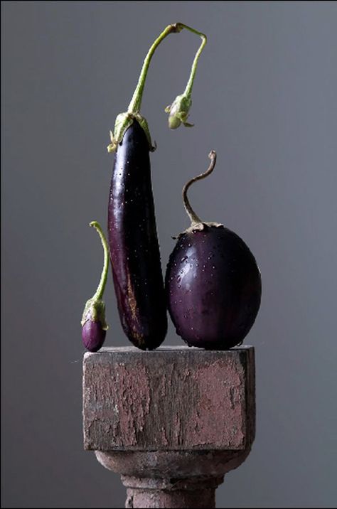 Purple Food, Food Art Photography, Still Life Photos, Foto Tips, Food Photography Styling, Fruit And Veg, Malbec, Beautiful Food, Life Photography