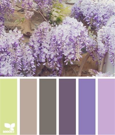 wisteria tones Design Seeds, Purple And Green, Colour Schemes, Color Pallets, Color Swatches, Wisteria, Color Theory, Color Themes, Pretty Colours