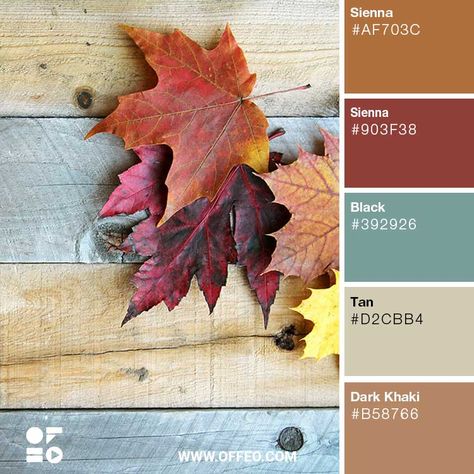 20 Nature Inspired Rustic Color Palettes | Rustic Color Schemes | OFFEO Maple Color Palette, Rustic Modern Color Palette, Vintage Farmhouse Color Palette, Rustic Color Pallete, Rustic Vintage Color Palette, Colorful Exterior House, Rustic Color Palette For Home, Planner Color Palette, Modern Rustic Color Palette