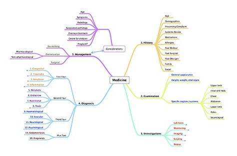 (mind map) Medicine at a glance Medical Mind Maps, Concept Map Medicine, Psychology Memory Mind Map, Class 10 Mind Maps, Example Of Mind Map, Study Medicine, My Notes, Mind Map, Medical Conditions