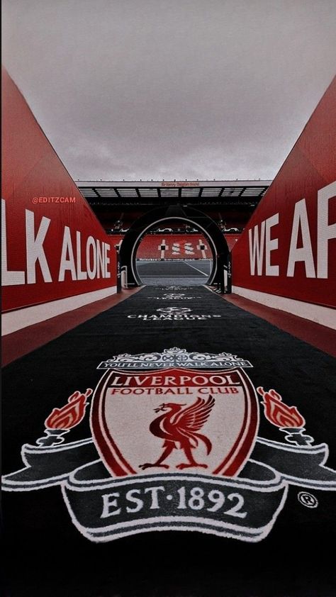 Iphone Wallpaper Liverpool, Liverpool Football Club Players, Lfc Wallpaper, Liverpool Stadium, Liverpool Fc Logo, Liverpool Fc Team, Liverpool Poster, Liverpool Football Club Wallpapers, Liverpool Logo