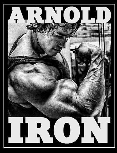 Arnold Bodybuilding, Arnold Schwarzenegger Bodybuilding, Schwarzenegger Bodybuilding, Fitness Motivation Wallpaper, Retro Gym, Gym Poster, Ripped Men, Gym Art, Gym Photos