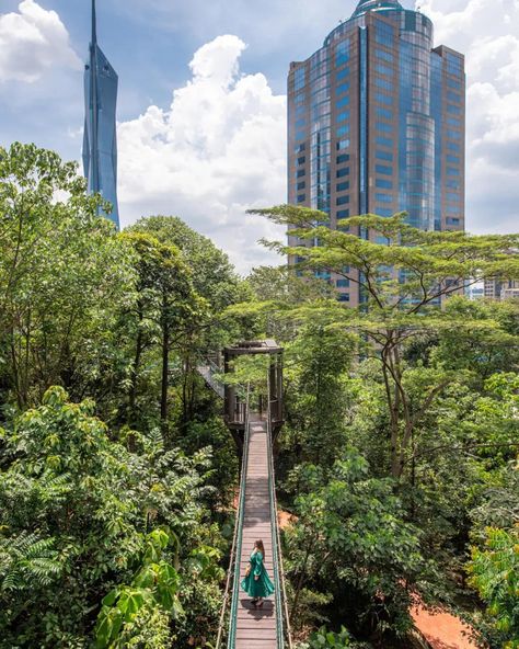 Best photo spots in Kuala Lumpur: 📸Batu Caves 📸KLCC Park 📸Thean Hou Temple 📸Kuala Lumpur City Gallery 📸Perdana Botanical Gardens 📸Sultan Abdul Samad Building 📸Masjid Wilayah Persekutuan 📸Kwai Chai Hong KL 📸KL Forest Eco Park Swipe to see all the photos and check the link in the bio to find the location of all these spots together with more photo tips for KL! Who would love to visit? 🇲🇾 #kualalumpur #kl #kualalumpurmalaysia #kualalumpurcity #kualalumpurmalaysia #visitkualalumpur #malaysia... Kuala Lumpur Photography, W Kuala Lumpur, Menara Kuala Lumpur, Kuala Lumpur Instagrammable, Eco Park, Kuala Lumpur City, Batu Caves, City Gallery, Best Photo