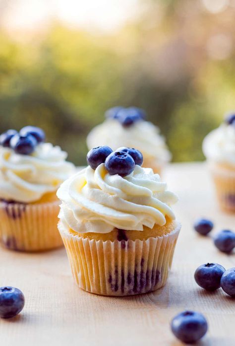 These blueberry cupcakes are filled with fresh blueberries and topped with airy sweetened whipped cream. Forbidden Food, Blueberry Cupcakes Recipe, Cupcake Receptek, Vegan Cupcake Recipes, Lemon Blueberry Cupcakes, Blueberry Desserts Recipes, Healthy Cupcakes, Summer Cupcakes, Strawberry Cupcake