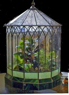 make it yourself stained glass wardian case - Google Search Victorian Terrariums, Wardian Case, Aquarium Terrarium, Indoor Gardens, Garden Terrarium, Terraria, Terrarium Plants, Vivarium, Glass Terrarium