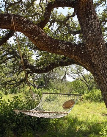 Terrasse Design, Hill Country Homes, Texas Homes, Texas Hill Country, Hill Country, Home Reno, Dream Garden, Country Life, Farm Life