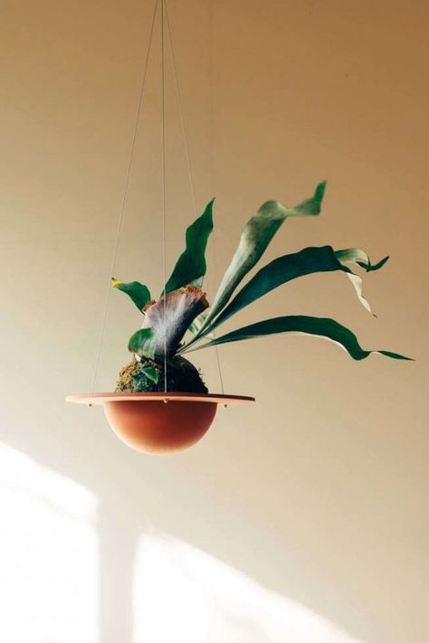 High Planters, Diy Plant Pots, Plant Decor Ideas, Plant Vessels, Room Plants, String Garden, Plant Pot Design, Home Plants, Plant Hanging