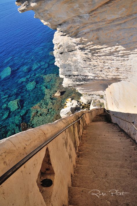 Les escalier du roi d'Aragon à Bonifacio, Corse Porto Vecchio, Aragon, Stairs Design, Sardinia, Insta Story, Travel Dreams, Summer Vibes, Bali, Vision Board