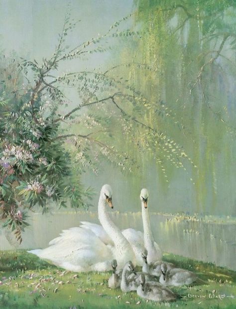 Swan Pictures, Swan Painting, Swans Art, Beautiful Swan, Rennaissance Art, Romantic Art, Ethereal Art, Dreamy Art, The Grass