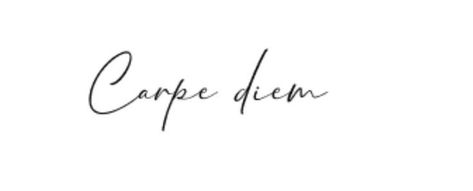 Tattoo Carpe Diem, Small Friendship Tattoos, Sparrow Tattoo Design, One Word Tattoo, Tattoo Script Fonts, Small Girly Tattoos, Boho Tattoos, Men Tattoos Arm Sleeve, Small Pretty Tattoos