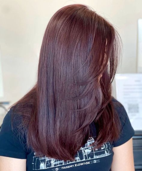 Gorgeous Cherry Red Shades for Bold Hair Lovers Hair Colours For Indian Skin Tone, Red Hair Indian, Hair Colour For Indian Skin, Red Hair On Brown Skin, Hair Color For Morena Skin, Cherry Brown Hair, Hair Color For Morena, Brown Hair Ideas, Hair Color For Brown Skin