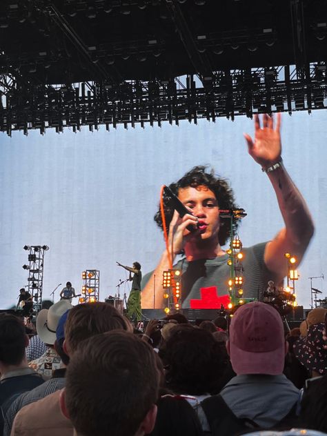 Dominic Fike Coachella 2023, Dominic Fike Coachella, Sunburn Dominic Fike, Dominic Fike, I Miss U, Harry Styles, Festival, Concert, Collage