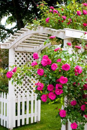 Lattice Archway, White Garden Fence, Arch Garden, Garden Backdrop, Fence Planning, Fenced Vegetable Garden, White Arch, Rose Arbor, Garden Backdrops