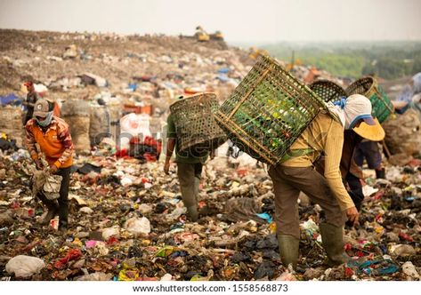 Garbage Collectors Working Landfill Bantargebang Landfill Stock Photo 1558568873 | Shutterstock Garbage Collector, Image Editing, 3d Objects, The Collector, Every Day, Royalty Free Stock Photos, Royalty Free, Stock Images, Stock Photos