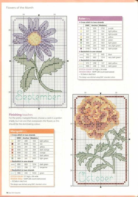 Marigold Cross Stitch, Birthday Month Flowers, Flower Cross Stitch, Floral Cross Stitch Pattern, Flower Cross, Small Cross Stitch, Stitch Flowers, Fabric Collage, Marigold Flower