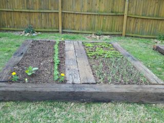 Railroad Ties Garden Bed, Rail Road Ties Garden Raised Beds, Homestead 101, Verge Garden, Awesome Backyards, Sleepers In Garden, Railroad Tie, Vege Garden, Side Ideas