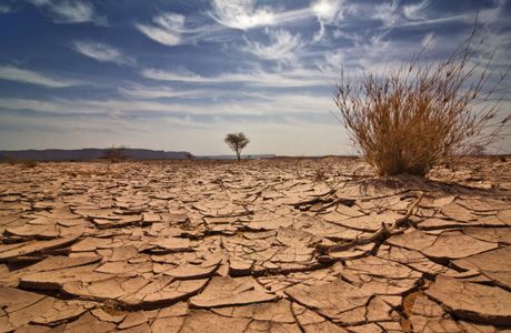 Dry Desert, Food Security, Libya, Image Hd, The Desert, National Geographic, Pollution, Trees, Jesus