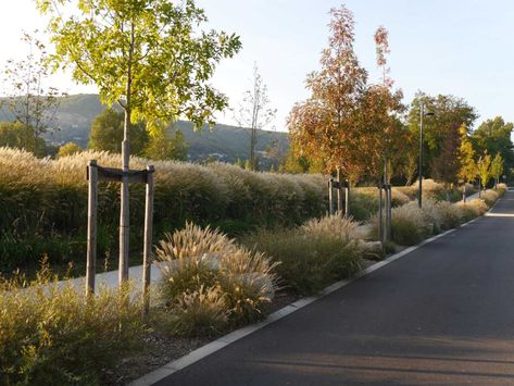 Rochetaillée Banks of the Saone by In Situ « Landscape Architecture Platform | Landezine Beer Garden Ideas, France Landscape, Urban Tree, Meadow Garden, Layout Architecture, Artistic Installation, Urban Architecture, Rain Garden, Garden Landscape Design