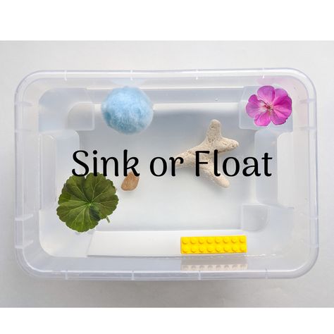 Sink And Float Activities, Float Or Sink, Floating Objects, Preschool Charts, Plastic Table Cloth, Alphabet Centers, Sink Or Float, Scientific Thinking, Data Gathering