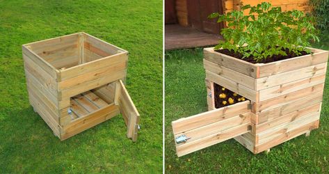 Growing and harvesting homegrown potatoes has never been easier with this wooden potato planter with a door. Small Backyard Garden, Potato Planter, Potato Box, Grow Potatoes In Container, Potato Bin, Potato Planters, Planter Box Plans, Raised Planter Boxes, Wooden Containers