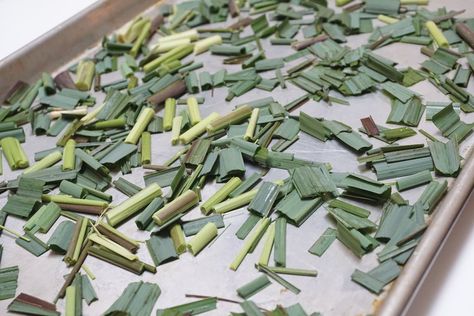 How To Dry Lemongrass Leaves, Greenhouse Herbs, Lemongrass Plant, Grass Wreath, Lemongrass Tea, My Plant, Dried Lemon, Zone 9, Tea Garden