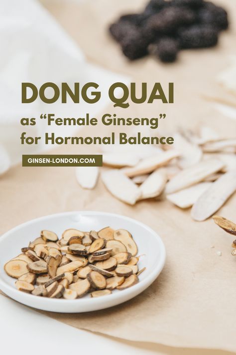 Dong Quai is a Chinese medicinal herb that grows in parts of Japan, China, Korea. Used in Traditional Chinese Medicine for ages, practitioners of TCM often refer to Dong Quai as “female ginseng”. Historically, it has been used to resolve conditions involving blood clots with the goal of harmonizing the blood. If you are interested in the use of Dong Quai for hormone balance, then read more by clicking the link! Dong Quai Benefits For Women, Pelvic Congestion Syndrome, Chinese Medicinal Herbs, Tcm Traditional Chinese Medicine, Dong Quai, Fertility Supplements, Herbal Remedies Recipes, Chinese Herbal Medicine, Medicinal Herb