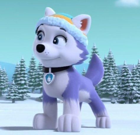 Paw Patrol All Pups, Paw Patrol Aesthetic, Cauliflower Gravy, Paw Patrol Everest, Paw Patrol Costume, Paw Patrol Movie, Dibujos Toy Story, Everest Paw Patrol, Dogs Pictures