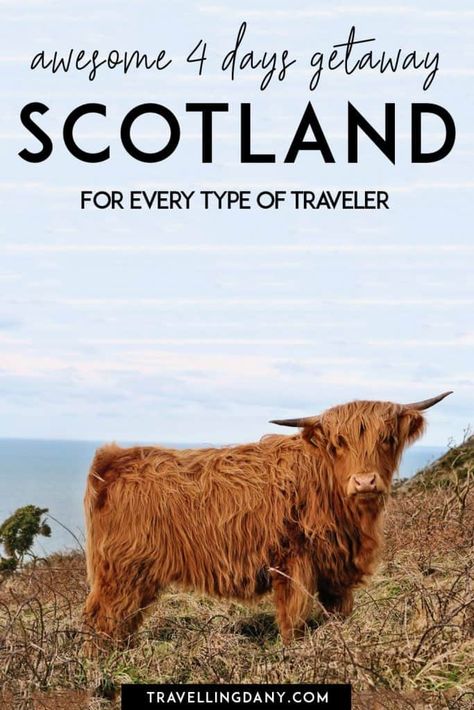 4 days in Scotland: Edinburgh itinerary - Travelling Dany Edinburgh Itinerary, Day Trips From Edinburgh, Scotland Itinerary, Rosslyn Chapel, Scotland Trip, Visit Edinburgh, Uk Trip, Travel Scotland, Edinburgh City