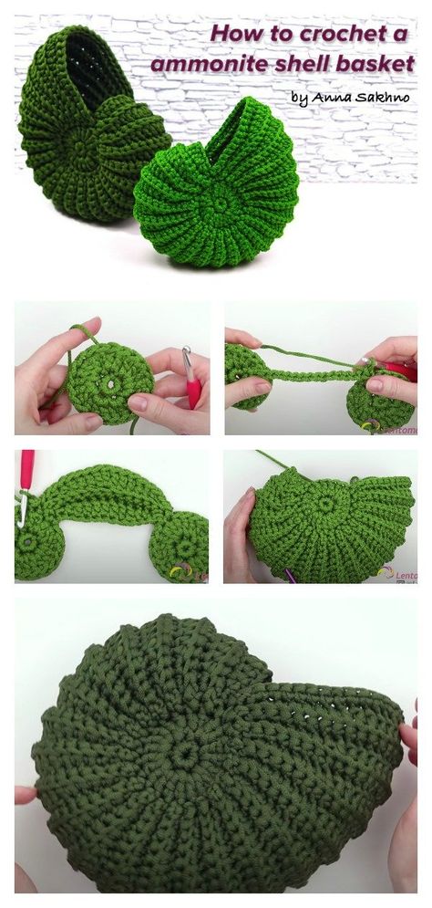 How to Crochet an Ammonite Shell Basket Crochet Shell Pattern, Crochet Spiral, Shell Crochet, Ammonite Shell, Crochet Patterns Ideas, Spiral Shell, Crochet Baskets, Crochet Basket Pattern, Crochet Things