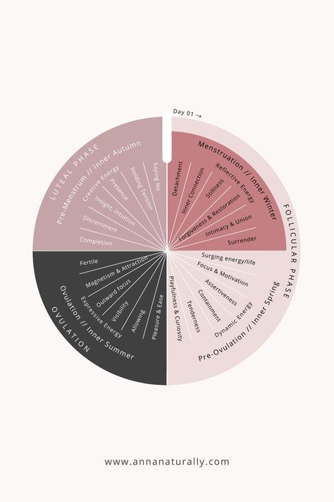 Menstrual Cycle Timeline, Period Calendar Menstrual Cycle, Period Cycle Phases And Symptoms, Menstrual Cycle Symptoms, Menstrual Cycle Awareness, Menstrual Cycle Phases Explained, Menstrual Phases Chart, Menstrual Cycle Phases Symptoms, Female Cycle Phases