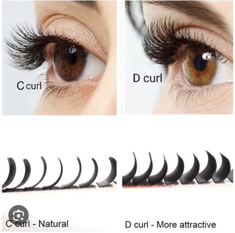 C Curl Vs D Curl Lashes, Lash Extensions Ideas, D Curl Lash Extensions, Curl Lash Extensions, C Curl, Curl Lashes, Curling Eyelashes, Individual Lashes, Eyelash Extension