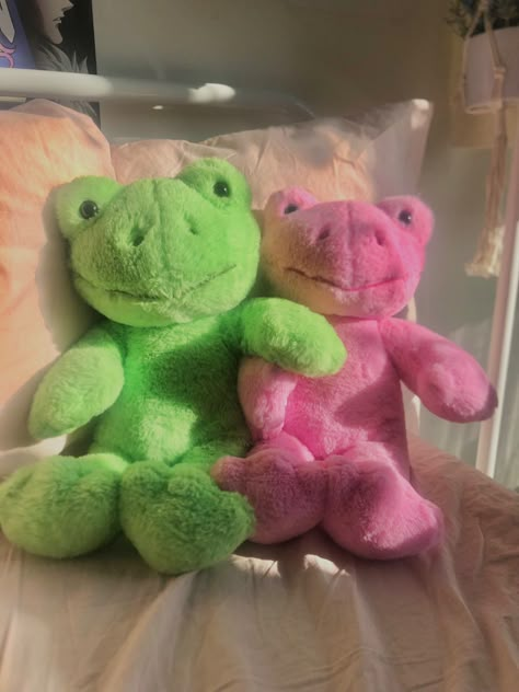 Pink Green Aesthetic, Cosmo Wanda, Build A Bear Frog, Pink N Green, Strawberry Matcha, Cosmo And Wanda, Frog Plush, Frog Pictures, Funny Frogs